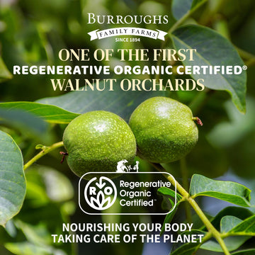 Organic Raw Walnuts Halves & Pieces 1.7lb - Unpasteurized, Regeneratively Grown in California - Whole, Fresh, Unsalted - Plant-B