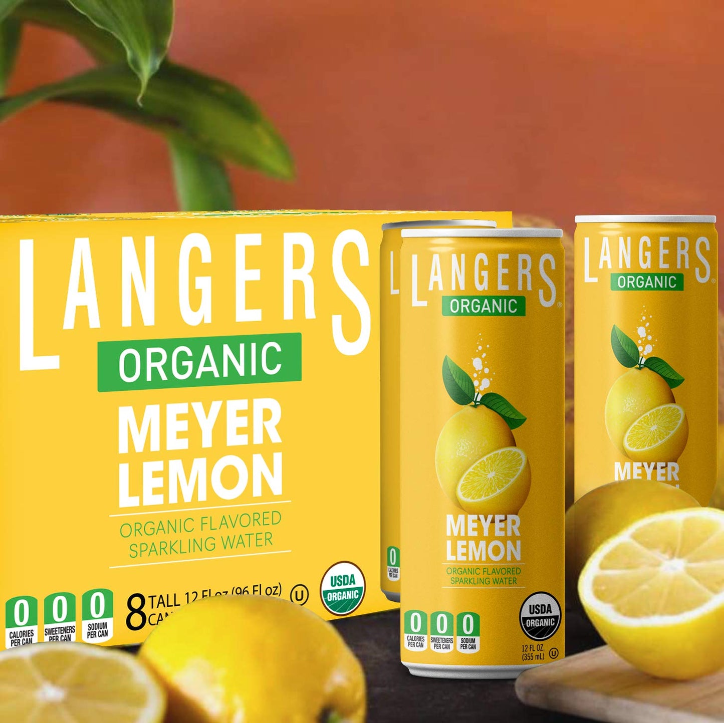 Langers Organic Flavored Sparkling Water, Meyer Lemon, 12 Ounce (Pack of 8)