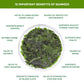 Numami Organic Wakame Flakes - Freeze-Dried Sea , Soft Texture, Mild Taste - 1oz Pack
