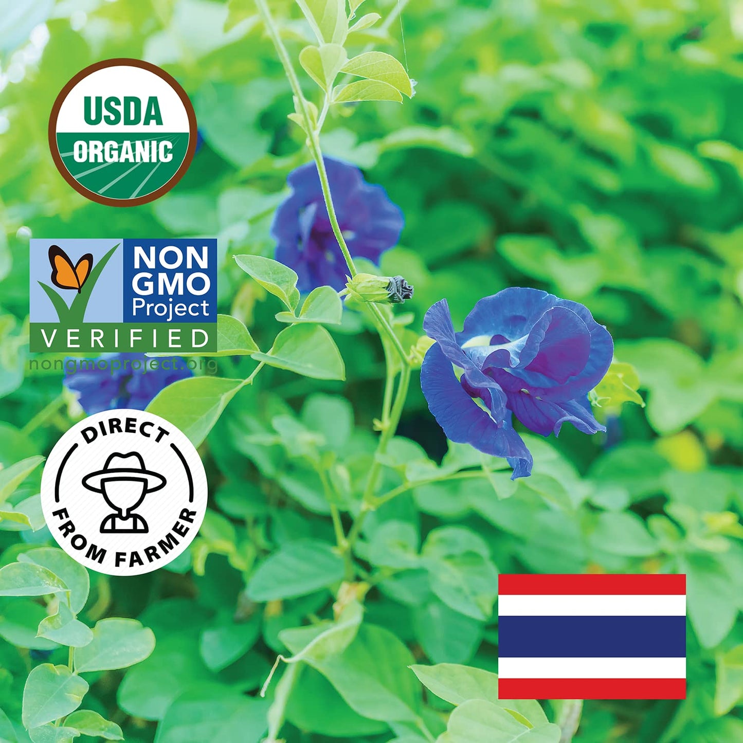 Incas by Asiya Life Organic Butterfly Pea Flower, 4.41 oz, Non-GMO, Caffeine-Free, Vegan, Rich in Antioxidants