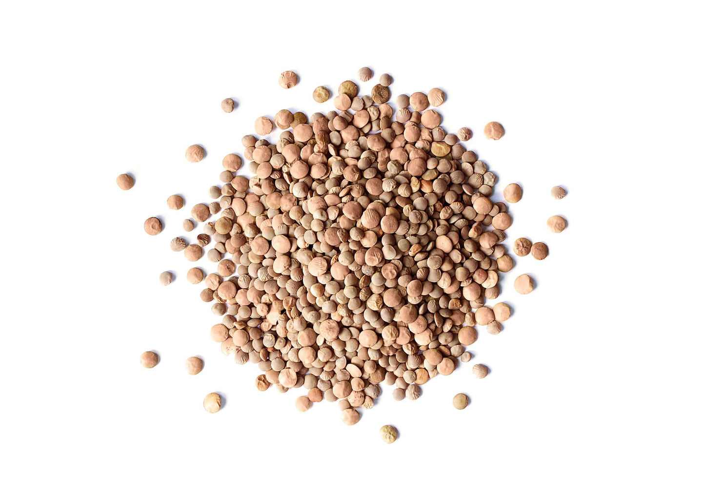 Food to Live Organic Whole Red Lentils, 5 Pounds Non-GMO, Dry Raw Lentils, Sproutable, Vegan, Kosher, Bulk. Easy to Cook. Good S