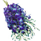 Eflowerwholesale - Premium Cut Blue Orchids (10 Stems Orchid With Rhinestone Mesh Ribbon Vase)