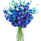 KaBloom Flowers - Mothers Day Collection - 20 Blue Orchid with vase  Gift for Birthday  Sympathy  Anniversary  Get Well  Thank You  Valentine  Mothers Day Fresh Flowers