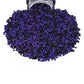 Mystic Sprinkles Jimmy Mixes (Villainous Violet Jimmy Mix 3Oz)