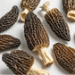 Dried Morel Mushrooms (Morchella Conica), 2 oz Morel Mushrooms Dehydrated Delicacies Nourishing Morchella Conica???Shipping from