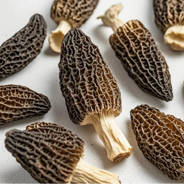 Dried Morel Mushrooms (Morchella Conica), 2 oz Morel Mushrooms Dehydrated Delicacies Nourishing Morchella Conica???Shipping from