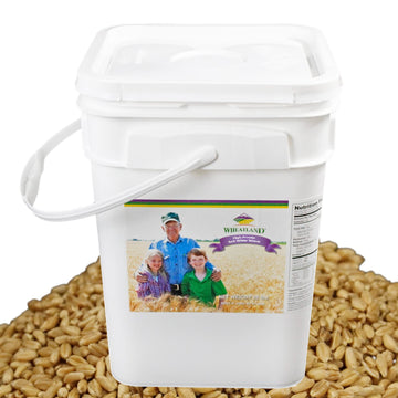 Wheatland Soft White Wheat Berries  23 Lbs  Delicious  Healthy Food Option  Farm Fresh  Mylar And Bucket Provide 25 Year Shelf L
