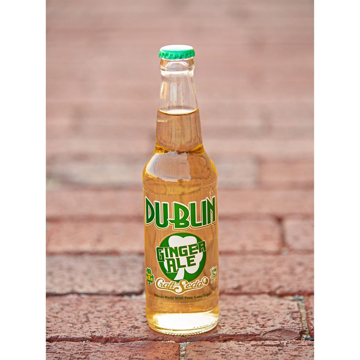 Dublin Bottling Works Craft Soda, Assorted 12-Pack, Pure Cane Sugar, Gluten-Free, Retro Artisanal Beverages