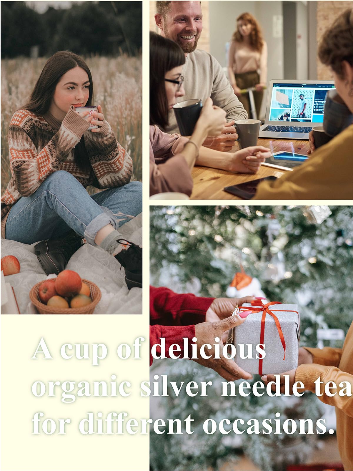 Gldnt Organic Silver Needle White Tea, Enhanced Chinese Organic White Tea Loose Leaf, Low Caffeine, Delicate & Smooth Flavor, 3.5Oz