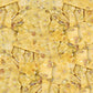 OBELYS Peanut Brittle Candy - Old-Fashioned Homemade Style Treat - 3 Pound Classic Snacking & Gifting