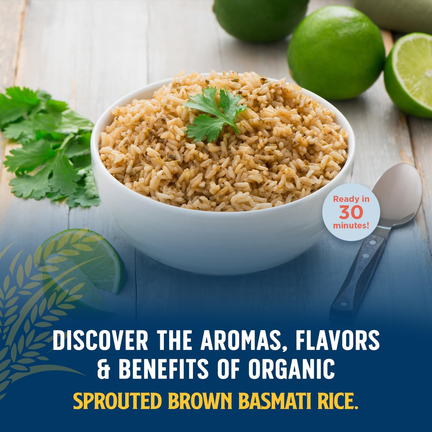 Lundberg Basmati Rice, Organic Sprouted Brown Long Grain Rice - Nutty & Nutritious Brown Rice Grown in California, Ready to Eat