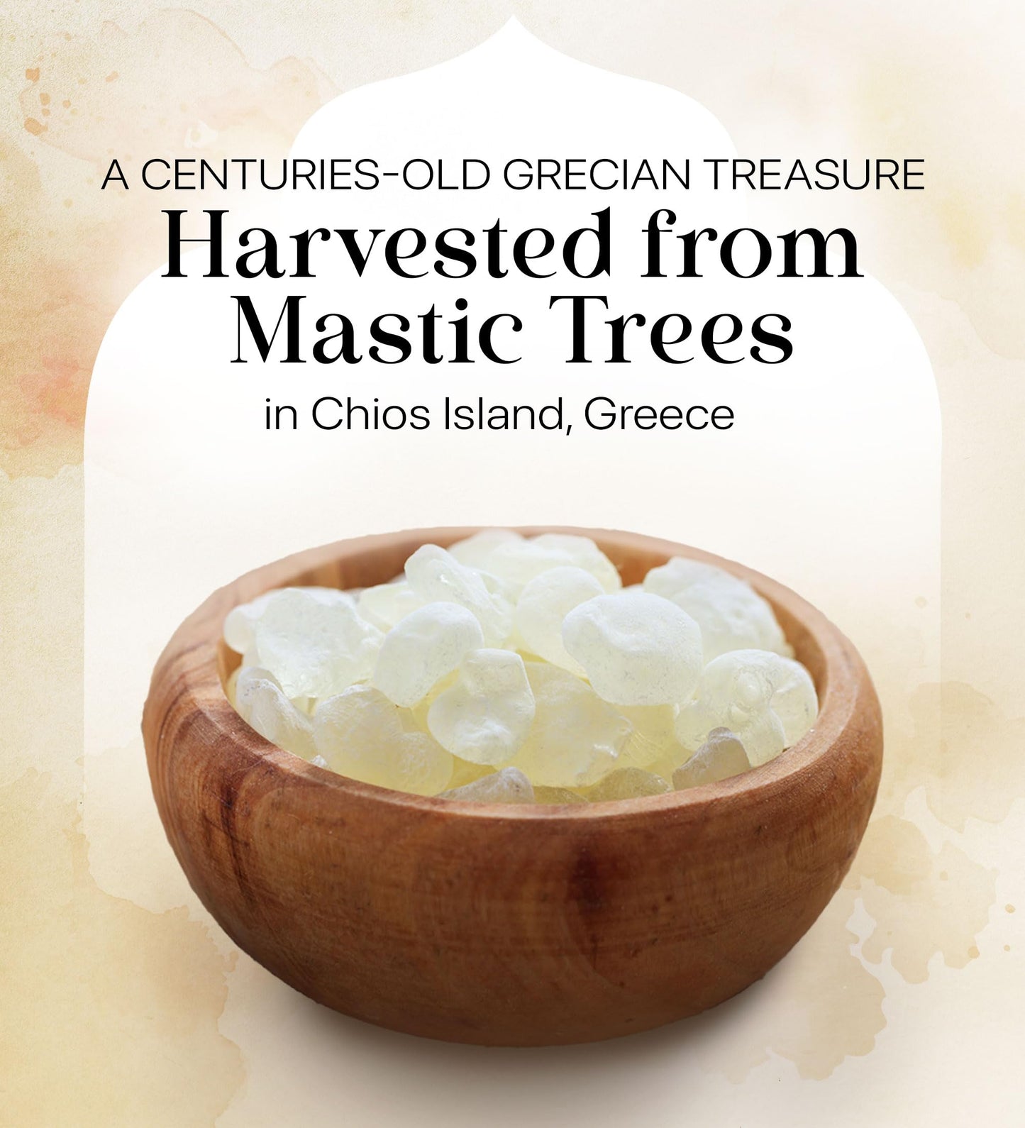 Cerez Pazari Natural Mastic Gum, Greek Chios Pure Resin, Sugarless Gum Made From Resin Of Mastiha Trees, Jaw Exerciser, Vegan, N