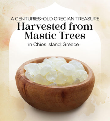 Cerez Pazari Natural Mastic Gum, Greek Chios Pure Resin, Sugarless Gum Made From Resin Of Mastiha Trees, Jaw Exerciser, Vegan, N