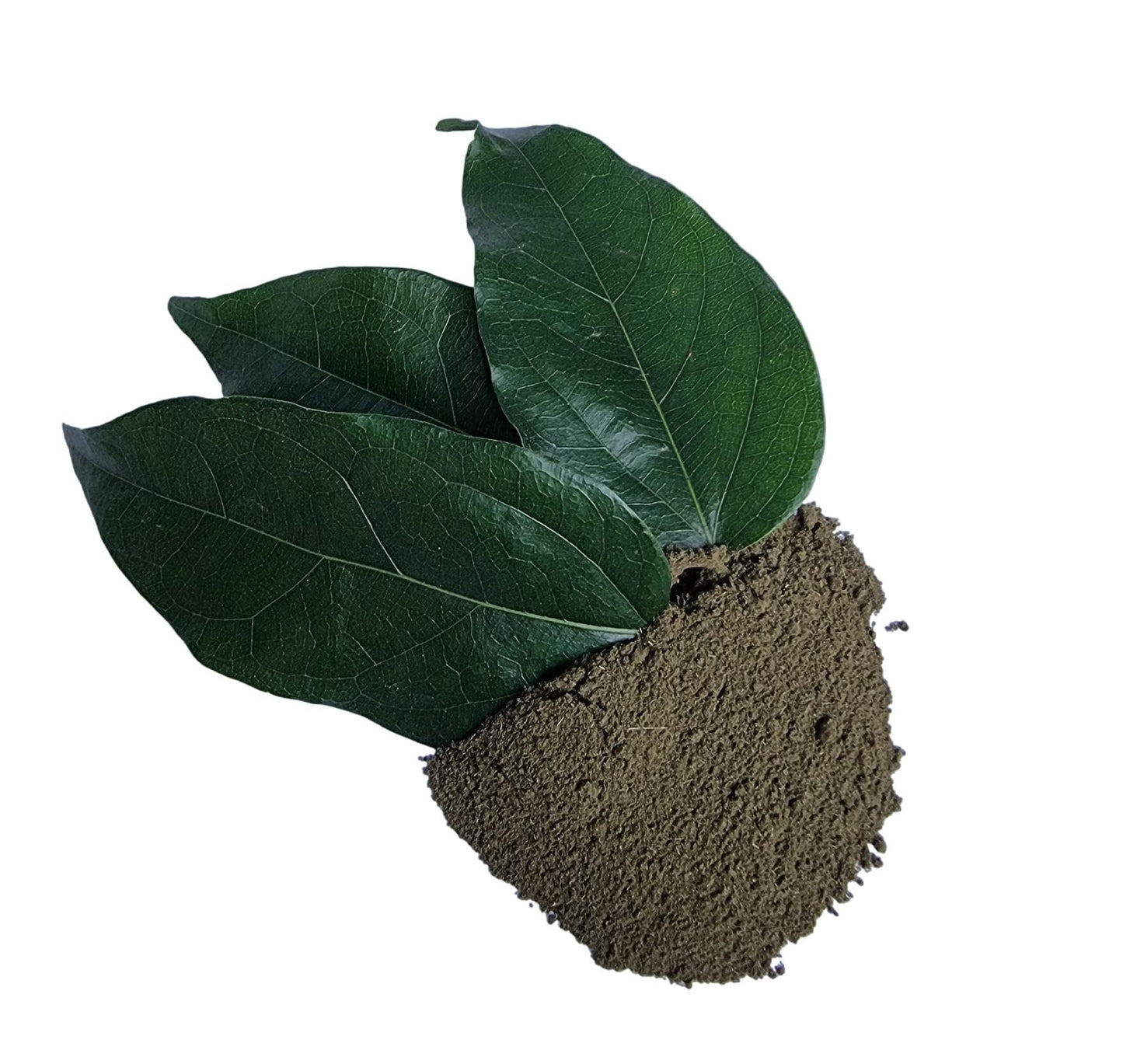 Tiliacora Triandra Powder, Made From 100% Tiliacora Triandra - Pure, Natural Bai Yanang Leaf - Net Weight: 1.76Oz/50G