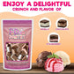 Freeze Dried Cheesecake Bites & Ice Cream Sandwich Bites - New York Style, Neapolitan - Chocolate, Strawberry, Vanilla - Crunchy