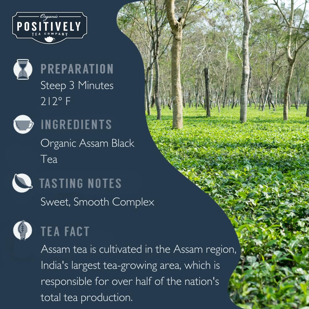 Organic Positively Tea Company Indian Tea Sampler Loose Leaf 4 Ounce Pack of 3