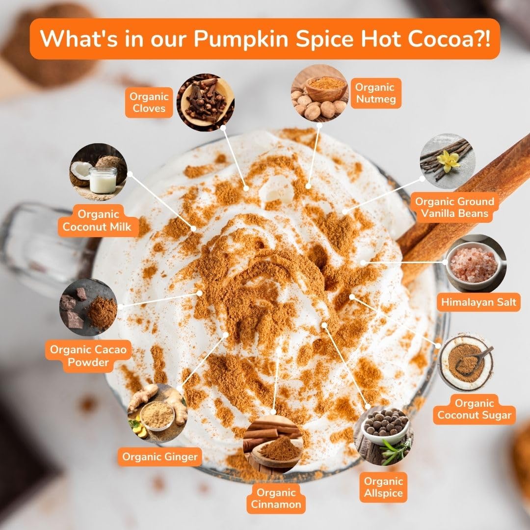 Bare Life: Instant Dairy Free Pumpkin Spice Hot Cocoa Mix - 10 Serving Pouch | Gluten Free, Vegan, Organic, Plant Based, Paleo,