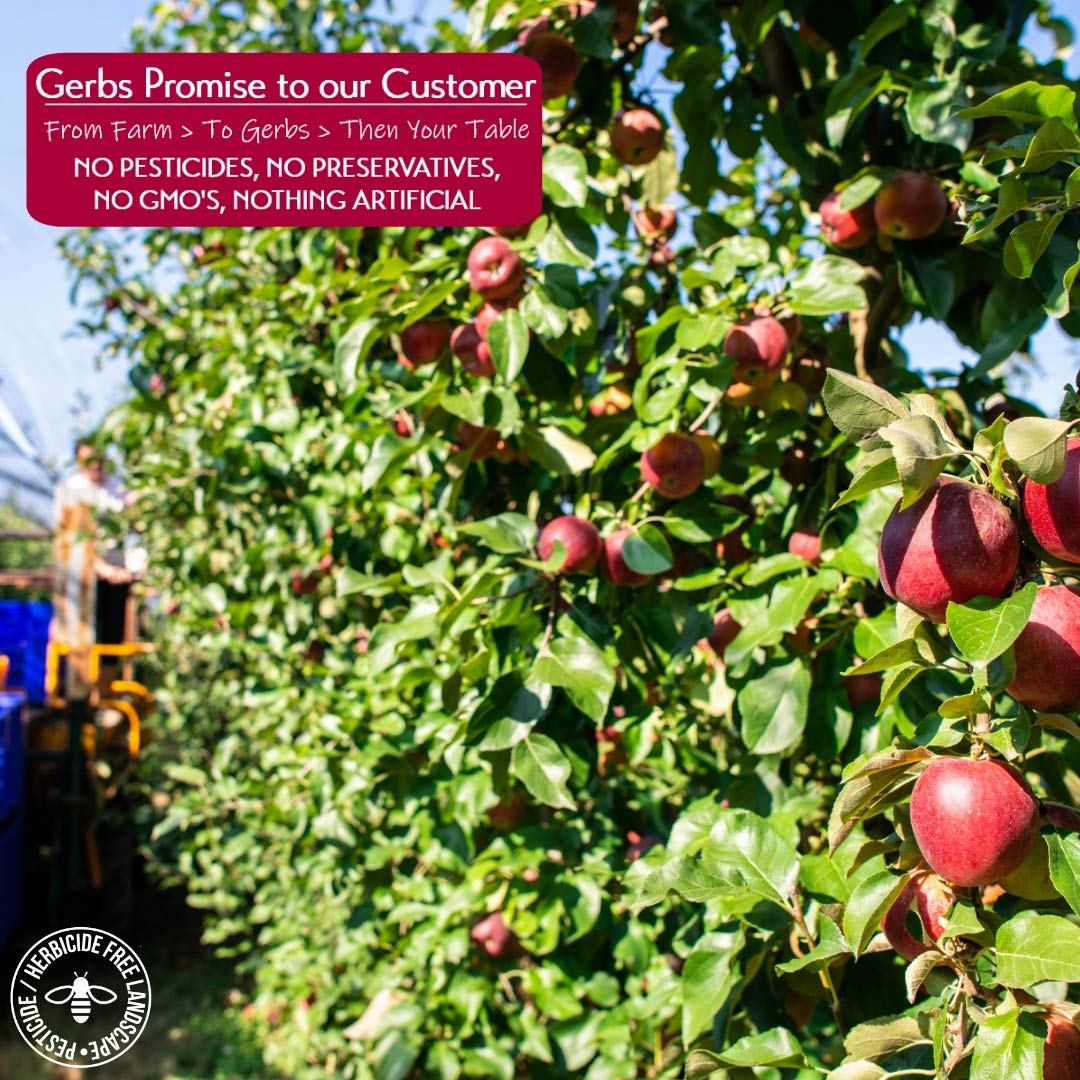 Gerbs Dried Cinnamon Sugar Apple Cubes 2 lbs. | Unsulfured, No Additives, Resealable Bag | Naturally Sweet & Spiced | Top 14 All