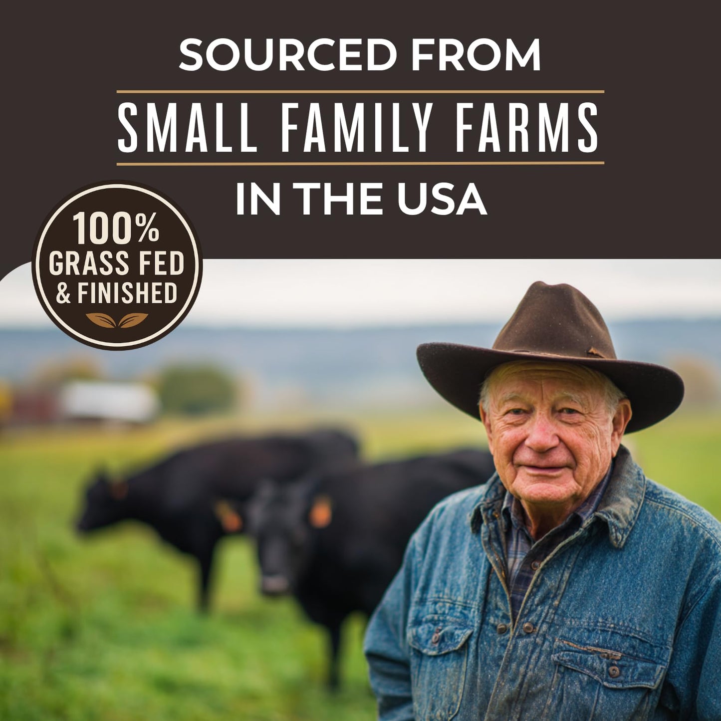 Beef Tallow for Cooking | Pasture Raised Grass Fed Beef Tallow | Paleo & Keto Friendly  100% Grass Fed & Finished Beef Fat | The Maple Valley  14 oz
