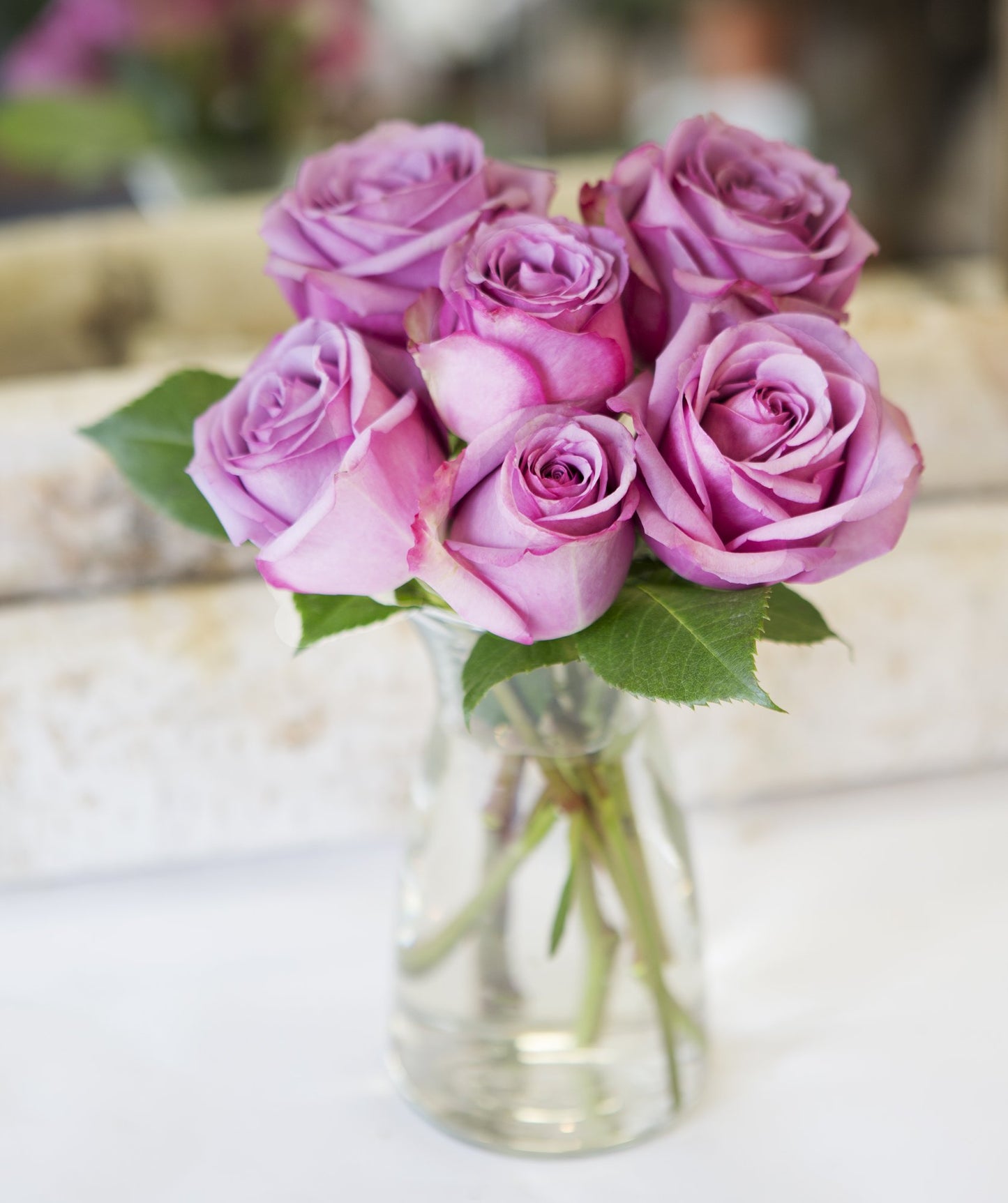 KaBloom Fresh Cut Purple Roses Bouquet - 6 Stems - Mother’s Day Collection - Model KaB-AZ-1098-NV