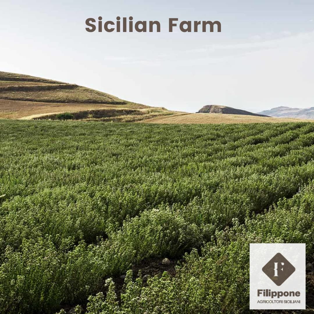 Organic Dried Rosemary Sprigs, 25 g (0.88 oz), Rosemary Stems, Fresh Grown in the Mountains of Sicily, Italian , Sicilian Rosema