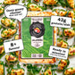 Gardner s Wisconsin Cheese and Sausage, 4 Pack of Oven Baked Cheese, Jalapeno Flavor (6 Ounces Per Block) - Artisan Cheese Made