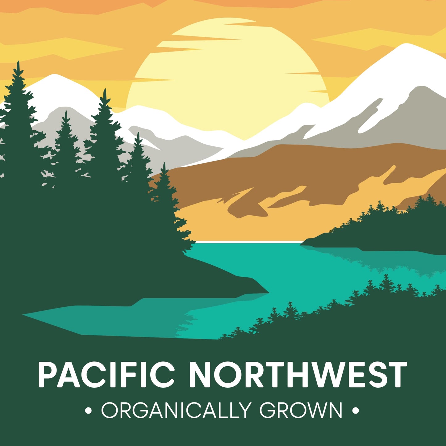 Wilderness Poets, Organic, Pacific Northwest-Grown Hazelnuts - Raw, Whole Nuts with Skins, No Shells. Bulk Size (32 Ounce - 2 Po