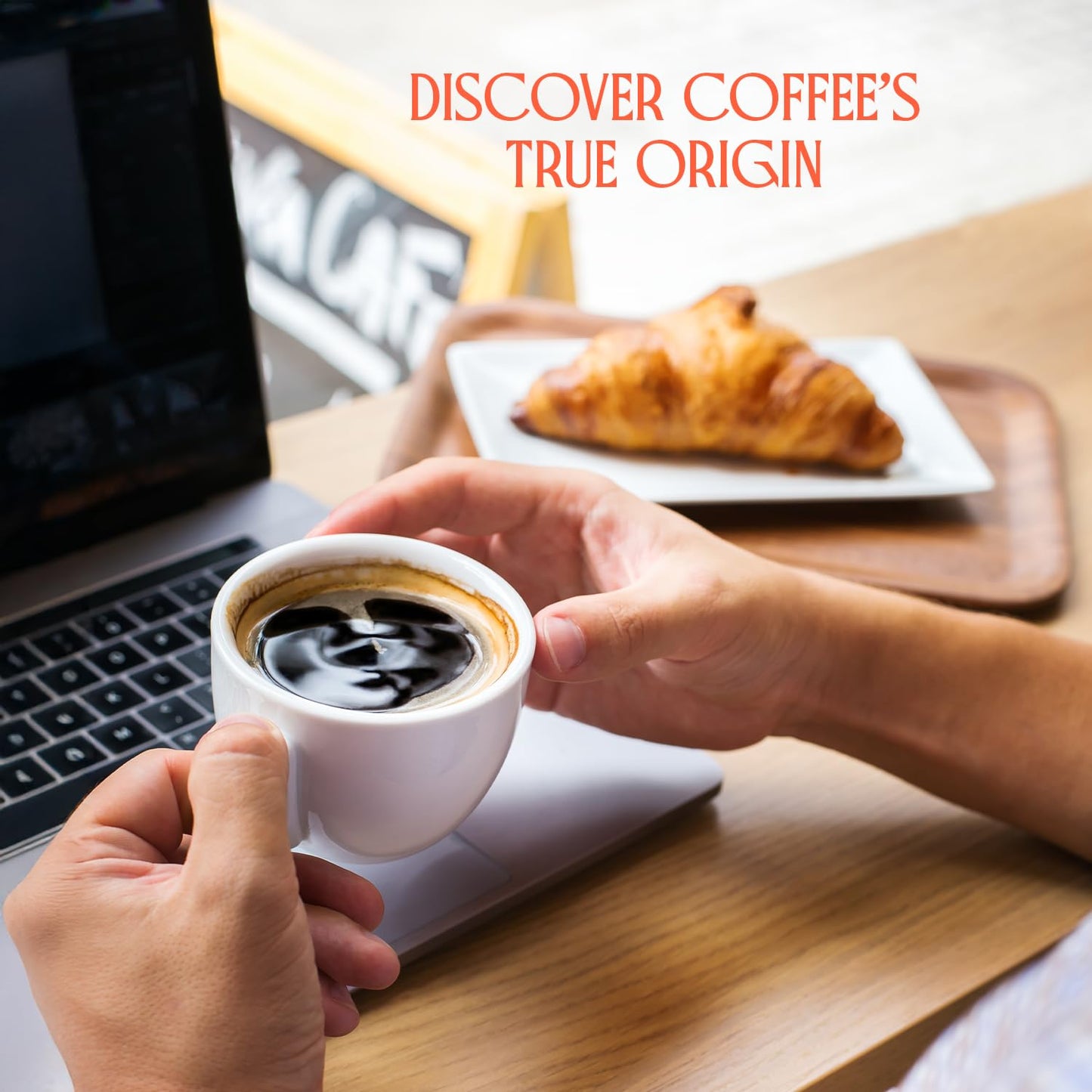 Colombia Single Origin Whole Bean Coffee, Medium-Light Roast With Lemongrass, Tangerine & Floral Aromatic Notes, Specialty Beans