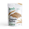 Food to Live Organic Barley Flour, 1 Pound - Non-GMO, Stone Ground from Whole Hulled Barley, Fine, Kosher, Vegan, Bulk. Rich in 
