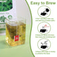 TEARELAE Oregano Tea Bags - Premium Natural Oregano Leaves - 50 Count - Non-GMO, Caffeine-Free
