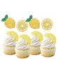 Oskal 24Pcs Glitter Lemon Cupcake Toppers Fruits Theme Party, Lemonade Party Decor, Summer Cupcake Toppers, Main Squeeze Party D