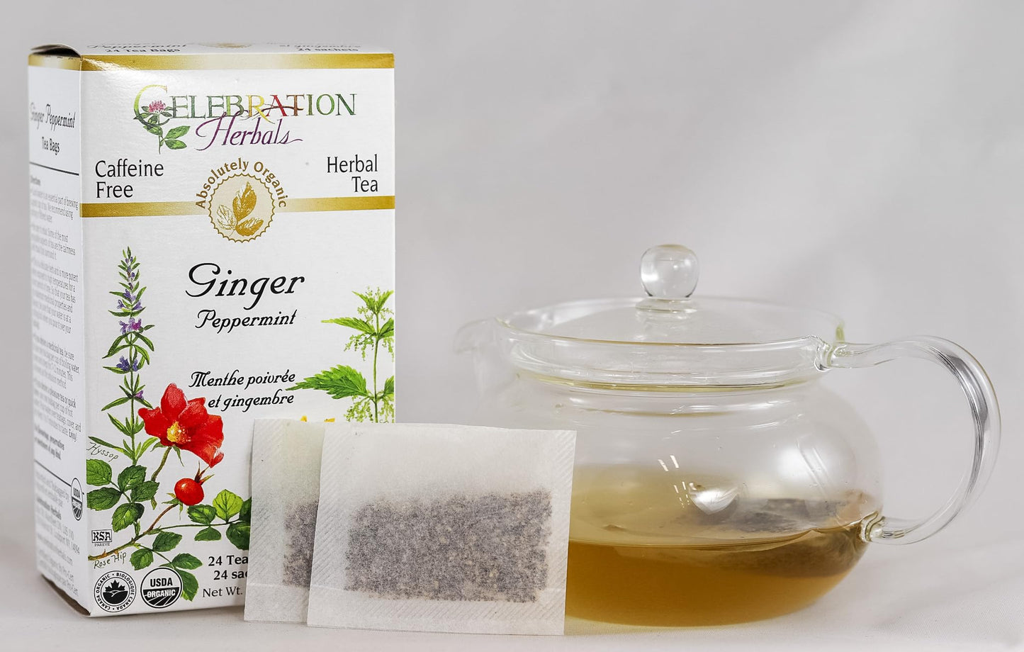 Celebration Herbals Ginger Peppermint Tea - 24 Count (Pack of 1)