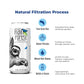Rainforest Artesian Water  Costa Rica Pallet of 114 boxes - 1 368 Water Cans (475 mL / 16 oz Each) | Eco-Friendly & Sustainable Aluminum Packaging