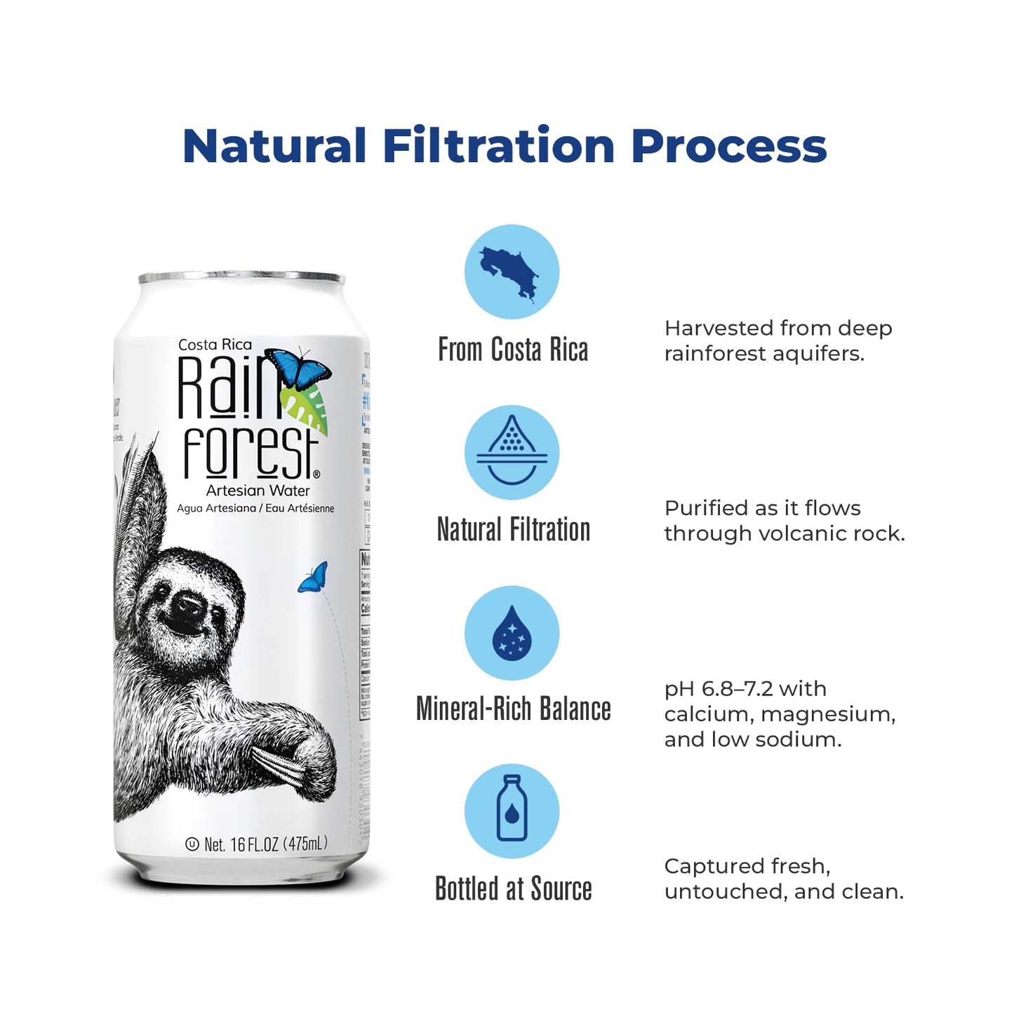 Rainforest Artesian Water  Costa Rica Pallet of 114 boxes - 1 368 Water Cans (475 mL / 16 oz Each) | Eco-Friendly & Sustainable Aluminum Packaging