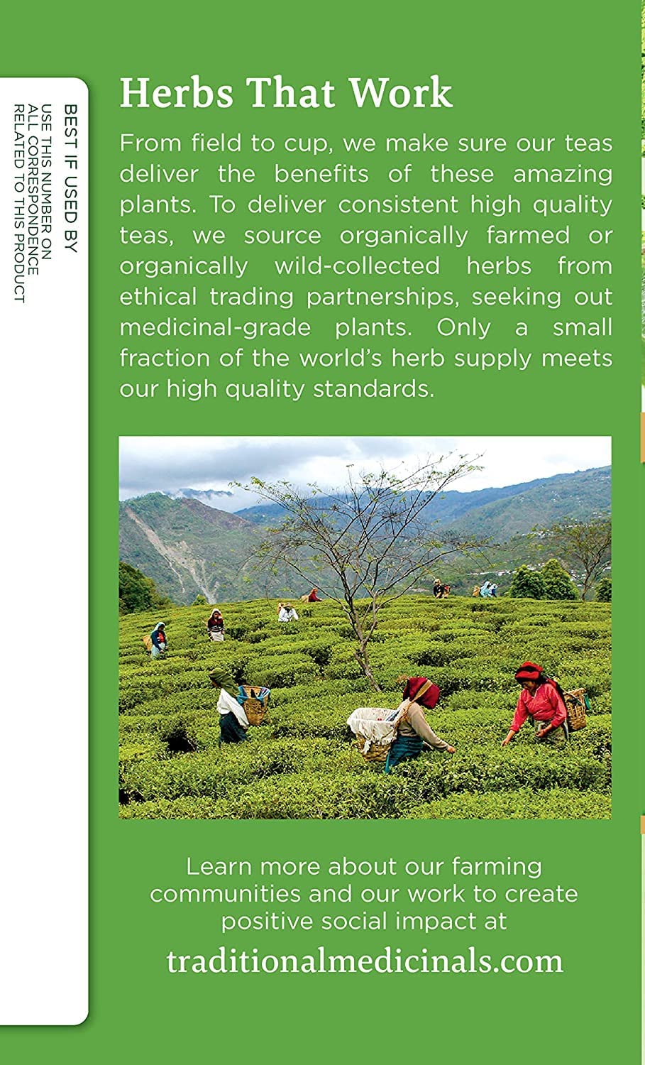 Traditional Medicinals Tea  Organic Green Tea Matcha  Genmaicha  Supports Health  Kosher  Non-GMO  Caffeine-Free  Compostable - 96 Tea Bags (6 Pack)