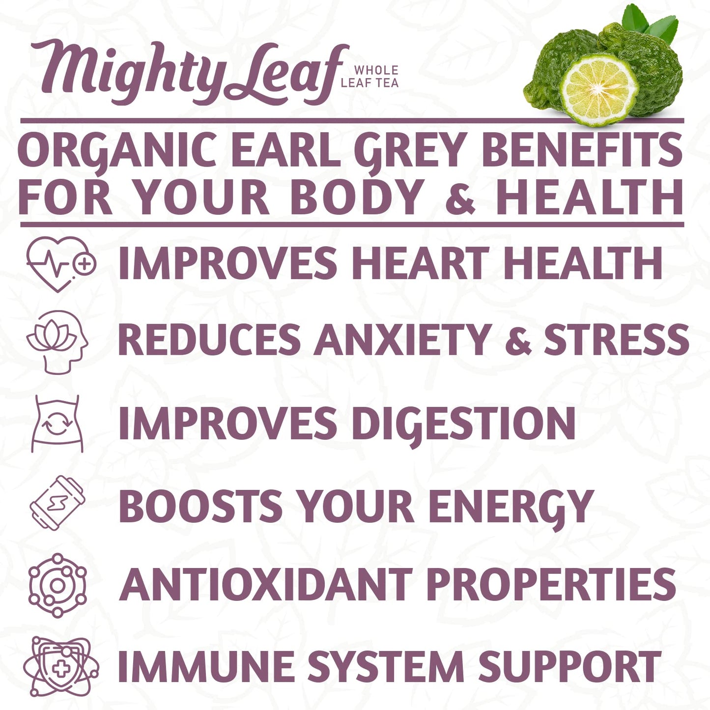 Mighty Leaf Organic Earl Grey Tea, 100 Tea Pouches, 100 Count