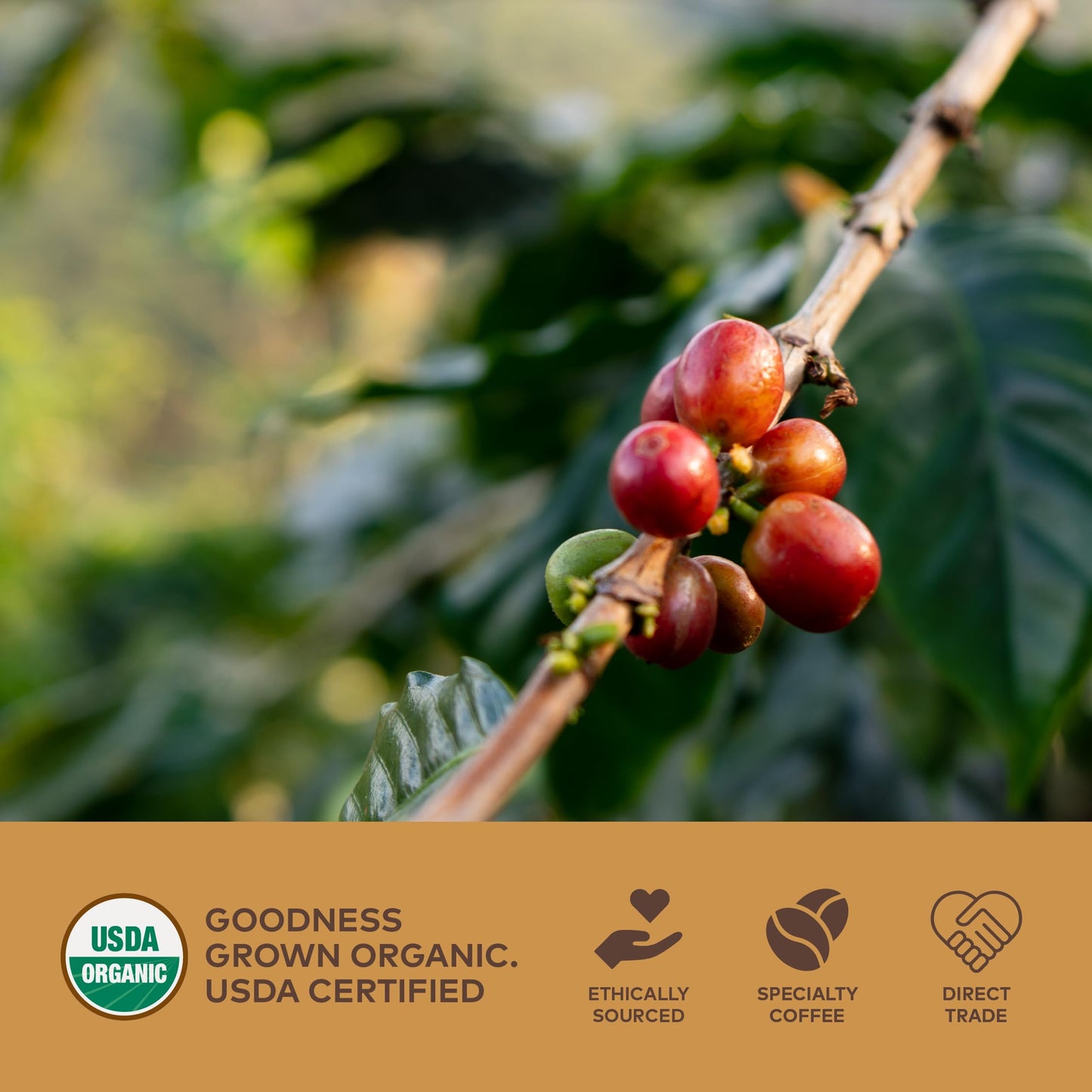 G Grana Coffee Pods, Compatible with Nespresso OriginalLine, 40 Count, Organic 100% Arabica, Dark & Medium-Dark Roast