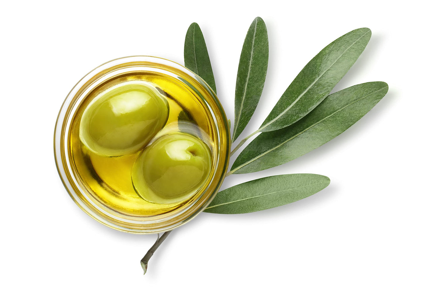 Sanniti Laudemio Organic Extra Virgin Olive Oil Fattoria di Maiano, Gold Award Winner at NYIOOC World Olive Oil Competition, 16.