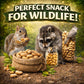 Office Roast Raw Peanuts in Shell 2 lb Bag - Unsalted, Natural & Healthy Snack - Plain Peanuts for Squirrels, Birds & Wildlife F