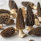 Dried Morel Mushrooms, 4 oz Dried Mushrooms For Cooking Dehydrated Mushrooms, Wild Mushrooms Dried Morel Mushrooms Shipping from