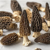 Dried Morel Mushrooms, 4 oz Dried Mushrooms For Cooking Dehydrated Mushrooms, Wild Mushrooms Dried Morel Mushrooms Shipping from