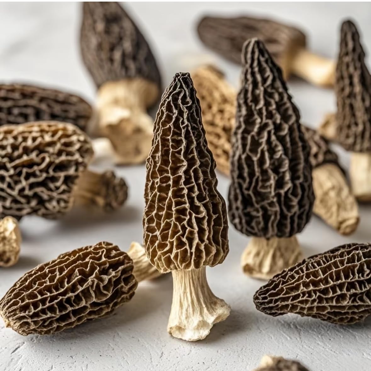 Dried Morel Mushrooms, 4 oz Dried Mushrooms For Cooking Dehydrated Mushrooms, Wild Mushrooms Dried Morel Mushrooms Shipping from