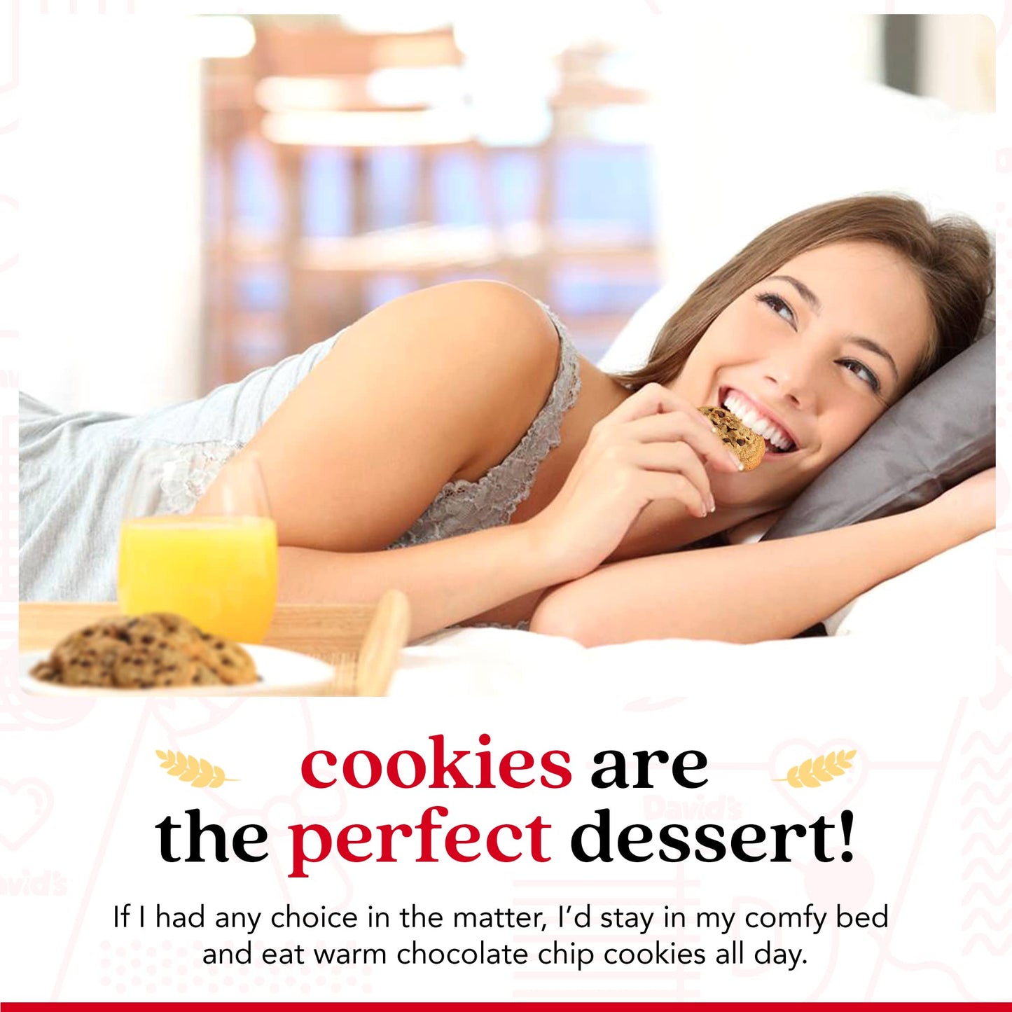 Davids Cookies Gluten-Free Chocolate Chip Cookies 9-pack - Gourmet Cookies with No Added Preservatives - Fresh Bakery Dessert -