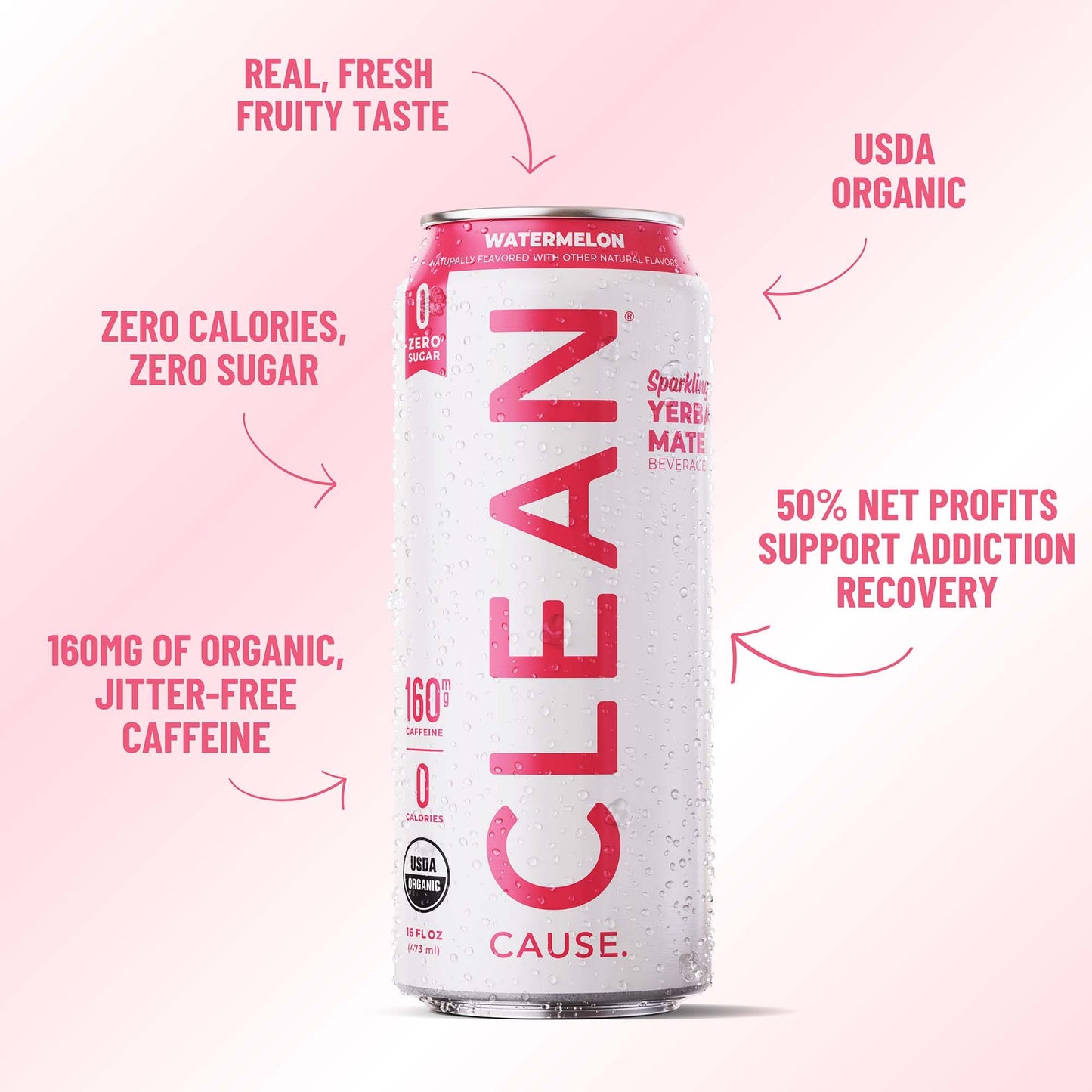 CLEAN CAUSE Sparkling Yerba Mate Tea, Zero Sugar, USDA Organic, 16oz Cans, 12-Pack, Red