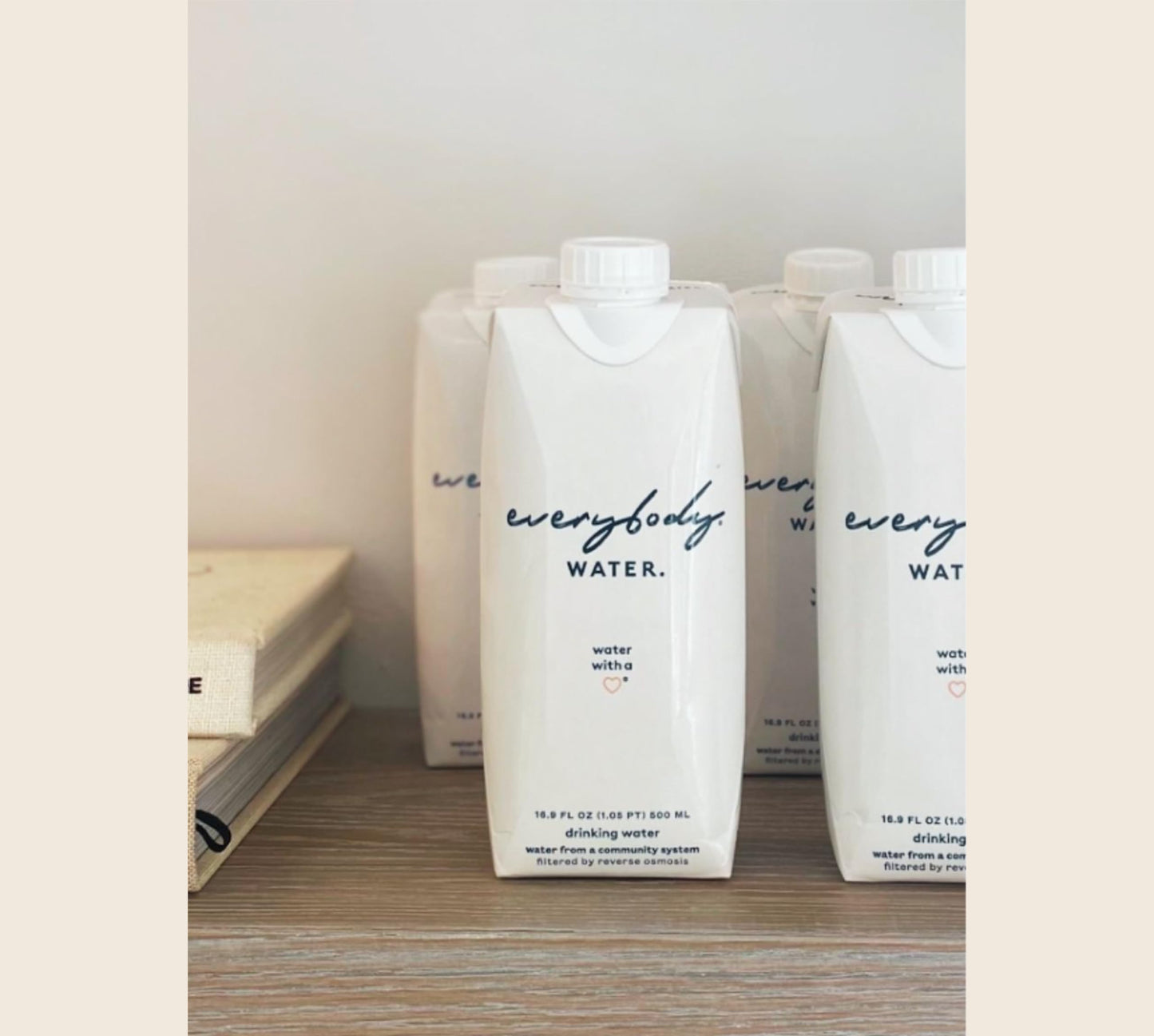 Everybody Water  Boxed Water  enhanced Filtered Still Waters  12 Pack Reverse Osmosis  Bulk Eco-Friendly  BPA Free  Fully Recyclable Plant Based Carton - Certified Woman Owned 16.9 Fl Oz / 500ml Carton (Pack of 12)