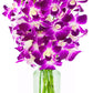 Fresh Cut Flowers -Dendrobium Purple Orchids With Vase Gift For Birthday, Sympathy, Anniversary, Get Well, Thank You, Valentine,