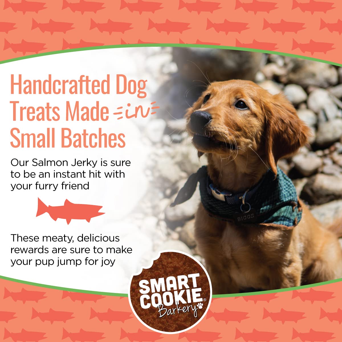 Smart Cookie Salmon Jerky Dog Treats - Dha & Omega Strips For Dogs & Puppies With Allergies, Sensitive Stomachs With Wild Caught