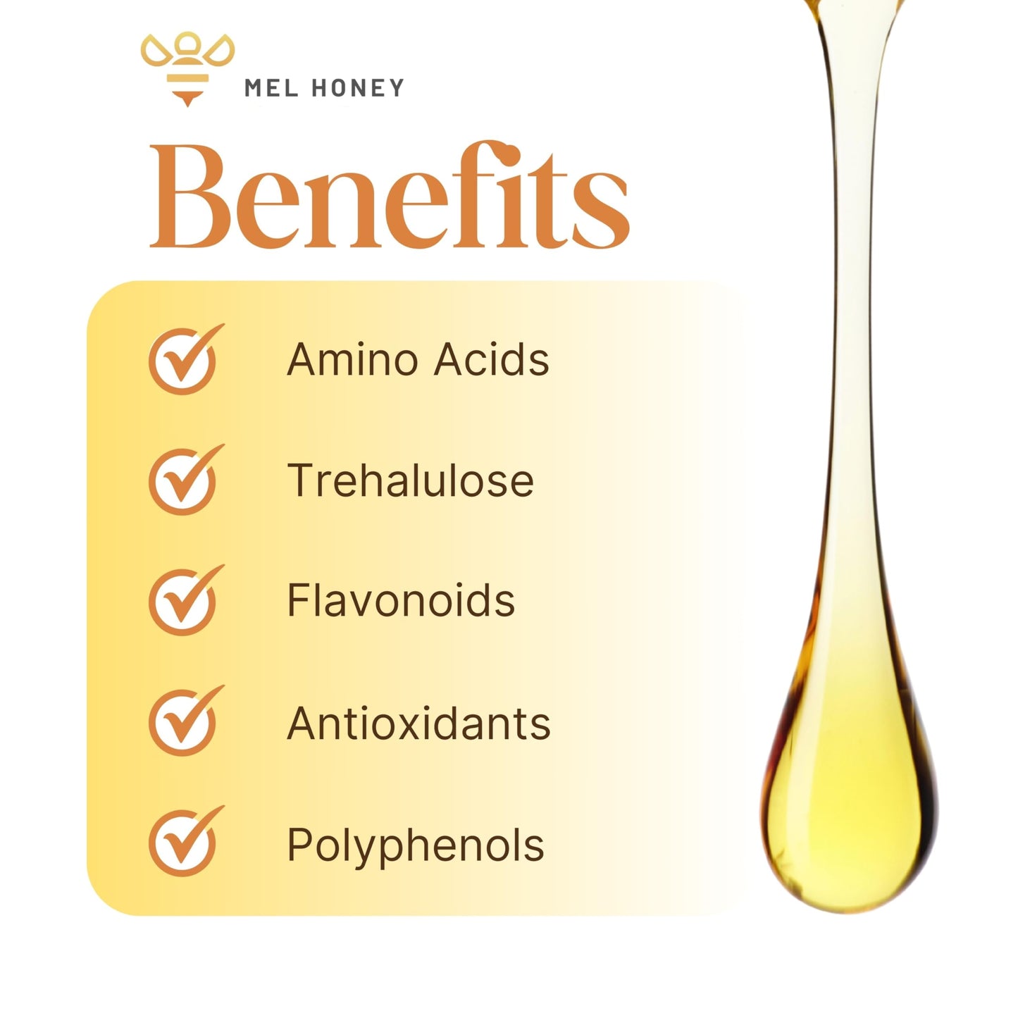 Jimerito Honey Drops - 5 Ml - Miel Melipona - Gotas De Miel Chumelito Miel Virgen - Stingless Bee Honey From Yucatan Peninsula -