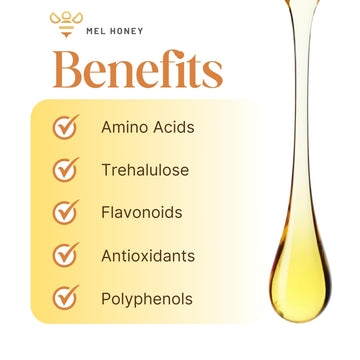 Jimerito Honey Drops - 5 Ml - Miel Melipona - Gotas De Miel Chumelito Miel Virgen - Stingless Bee Honey From Yucatan Peninsula -