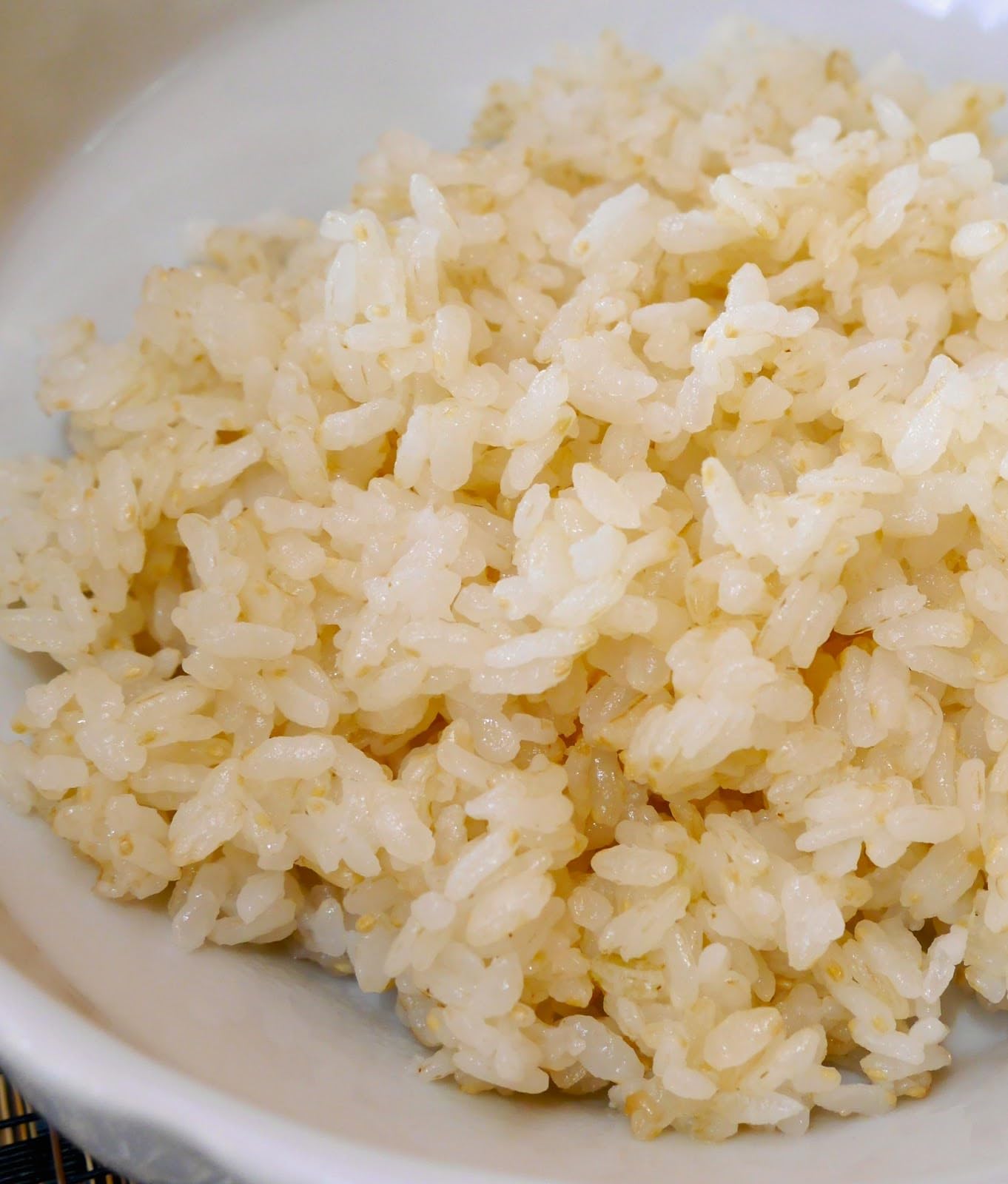 Tamaki Haiga With Rice Germ 15Lb In Sprout Talk'S Package